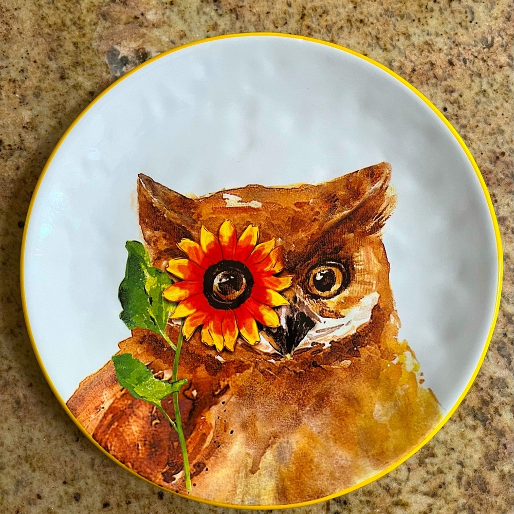 Pier1 Fall owl plate